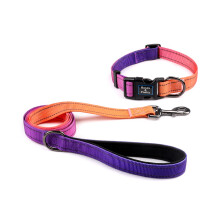 Roses&Poetry Reflective Puppy Dog Collar and Lead Set, Purple Nylon Dog Leads and Collars Combo, Adjustable Durable Pet Matching Collars Leash, for