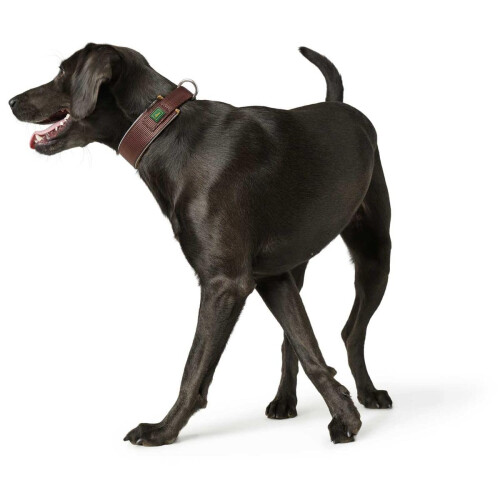 Hunter Hunter - Reflect Collar Neoprene Neck 44-51 Mm 45 Cm Brown 2