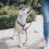 Hunter HUNTER Training leash Solid Education, 18/200 Soft genuine cow leather, cognac 3