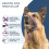 Gencon - Large Anti Pull Dog Headcollar - Soft & Gentle Control - Practical Dog Training & Behaviour Aid - Left Hand - UK Made - Doesn't Include Lead 2