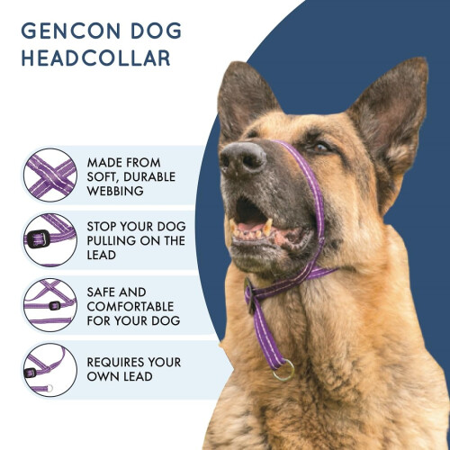 Gencon - Large Anti Pull Dog Headcollar - Soft & Gentle Control - Practical Dog Training & Behaviour Aid - Left Hand - UK Made - Doesn't Include Lead 1