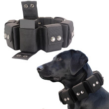 Walktime Tactical Dog Collar With Weights for Training and Exercise Equipment - Free Weights for Small, Medium, Large Dogs