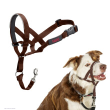 HALTI Headcollar - Stop Your Dog Pulling on the Lead. Adjustable, Reflective and Lightweight, with Padded Nose Band. Dog Training Anti-Pull Collar for