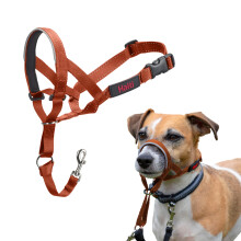 HALTI Headcollar - Stop Your Dog Pulling on the Lead. Adjustable, Reflective and Lightweight, with Padded Nose Band. Dog Training Anti-Pull Collar for