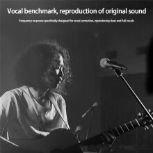 Wireless Microphone Handheld Dual Channel VHF One to Two Microphone for Karaoke Wedding Party Band Church EU Plug