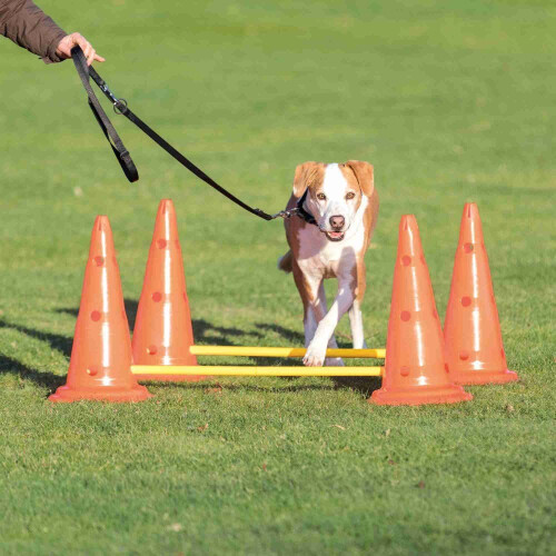 Trixie TRIXIE Dog Activity Dog Activity Obstacles, set 2 pcs. 2