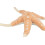 Trixie BE NORDIC starfish Jane, plush/rope, 32 cm 3