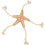 Trixie BE NORDIC starfish Jane, plush/rope, 32 cm 1