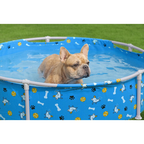 Bestway Bestway 4' x 12" Fetchin' Fun Pet Play Pool 2