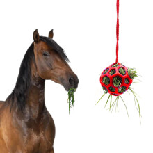 MeiAOBest Horse Treat Ball Hay Feeder Toy,Hanging Pet Hay Feeding Interactive Ball Release Stress Relieve Boring Toys for Goat Pony Rabbit Guinea