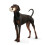 Hunter Hunter Snuggly 91805 Dog Toy Sheep 2