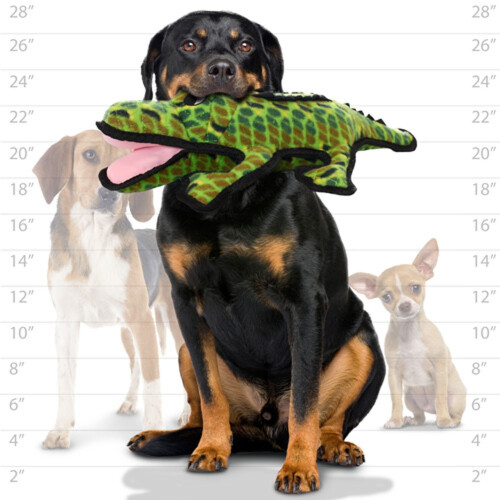 Tuffy Tuffy Gary Gator Alligator Dog Toy 1