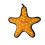 Tuffy Tuffy The General Starfish Dog Toy 4