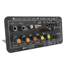 12V 24V 220V Digital  Amplifier Board Subwoofer Dual Microphone Karaoke Amp Speaker Theater DIY 30W EU Plug