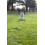 Chuckit! Chuckit Tumble Bumper Medium 4