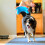 Chuckit! Chuckit! Indoor Squirrel Dog Toy 5