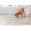 Trixie Trixie Dog Activity Snack Ball, 9 cm (Various Colours) 2