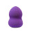 Anina Foundation Sponge 1