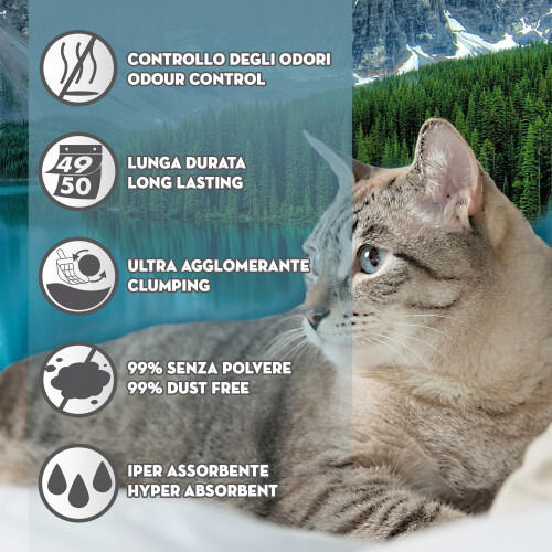 Croci Cat Litter PREMIUM with Canadese Bentonite 1