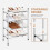 Expandable 4-Tier Metal Shoe Rack – White 5