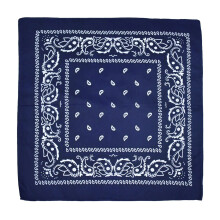 Multifunctionele bandana's, paisley, cowboy, polyester hoofdbanden, polyester bedrukte hoofddoek, sjaal, zakdoek voor mannen en vrouwen, 22x22 inch