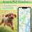Cat Dog Tracker with Collars, Smart Cats Tracker No Monthly Fee, No SIM Required, Compatible with iOS/Android, Global Tracking Device for All Cats 2
