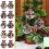 Highland Cow3D Crystal Glass Ornament1Pack 2