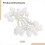 Decoraties en cadeautjes, feestverlichting 4