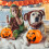Κουβάδες κολοκύθας για το Halloween, Κουβάδες με γλυκά με λαβή, Κουβάδες κολοκύθας για 8