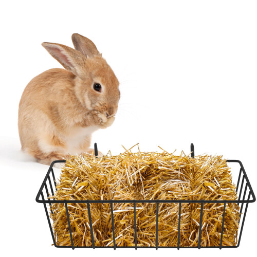 Hanging Hay Feeder 2Set for Guinea Pig Owners Rectangular