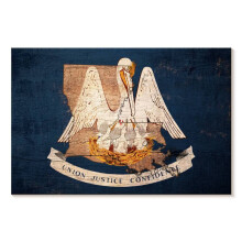 Quadro decorativo em tela com pelicano da Louisiana, 61 x 40 cm (24 x 16 polegadas)