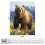 Brown Bear Blanket Flannel 150x200cm 5