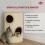 Trixie Trixie Cat Tower, 70 cm, Beige 4