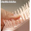Brosse de toilettage extensible à poils doux pour petits chiens et chats 4