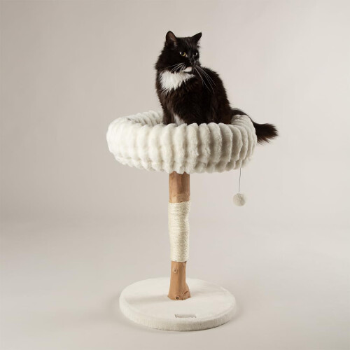 Scruffs Scruffs Appalachians Cat Scratching Tree