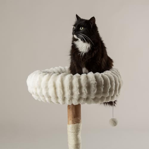Scruffs Scruffs Appalachians Cat Scratching Tree 1