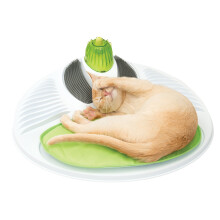 Catit Senses Wellness Centre,Green