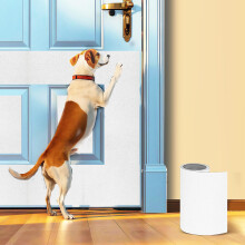 Pet Nail Self Adhesive Replacement Emery Paper, Eases Dog Nail Trimming Anxiety?Suitable for Doors and Walls(White?10in*13ft)