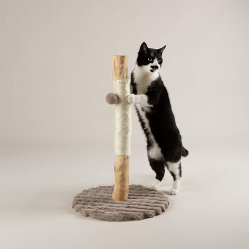 Scruffs Scruffs Rockies Cat Scratching Tree 1