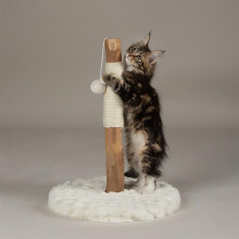 Scruffs Andes "My First" Cat Scratching Tree