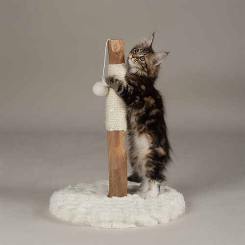 Scruffs Scruffs Andes "My First" Cat Scratching Tree