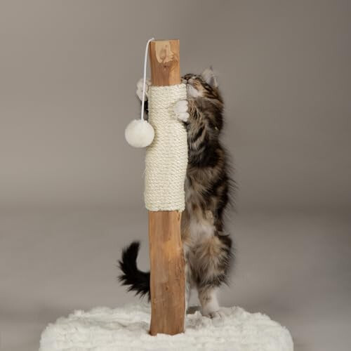 Scruffs Scruffs Andes "My First" Cat Scratching Tree 1