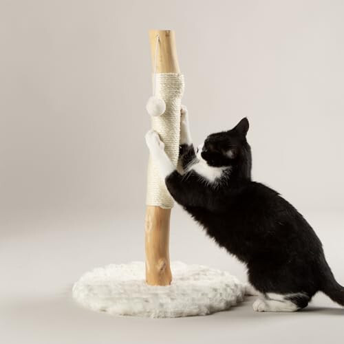 Scruffs Scruffs Rockies Cat Scratching Tree 1