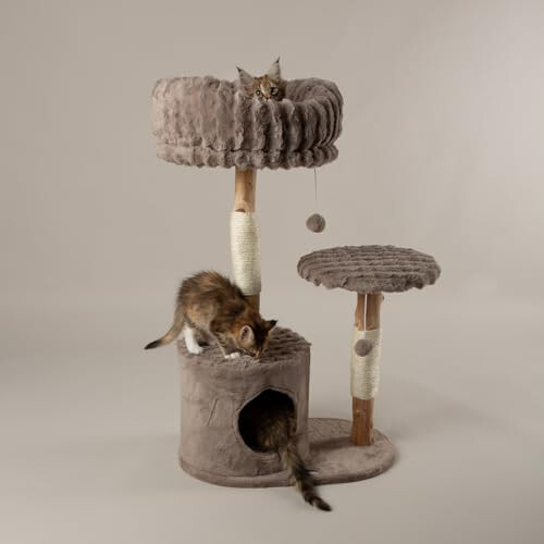 Scruffs Scruffs Colorado Cat Scratcing Tree 1