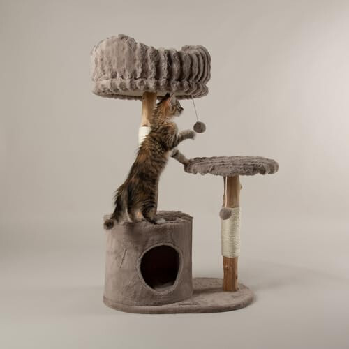 Scruffs Scruffs Colorado Cat Scratcing Tree 2