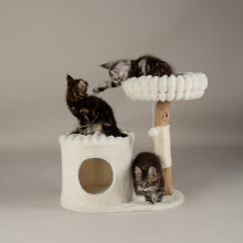 Scruffs Himalayas Cat Scratching Tree