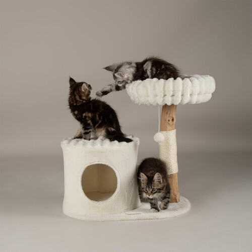 Scruffs Scruffs Himalayas Cat Scratching Tree