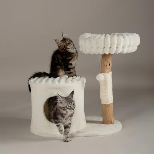 Scruffs Scruffs Himalayas Cat Scratching Tree 1
