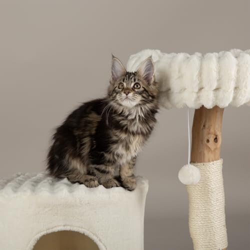 Scruffs Scruffs Himalayas Cat Scratching Tree 2