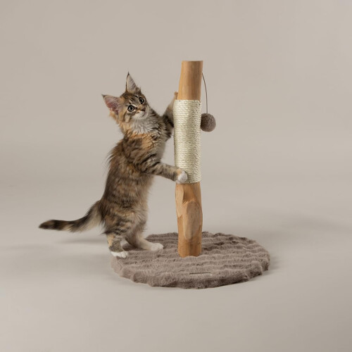 Scruffs Scruffs Andes "My First" Cat Scratching Tree